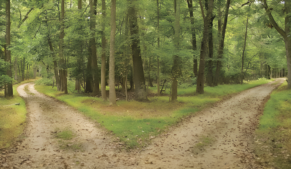 two paths